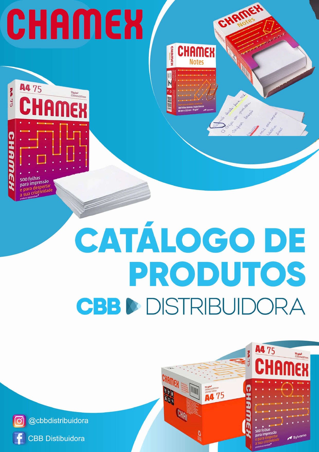 Capa da Revista 27