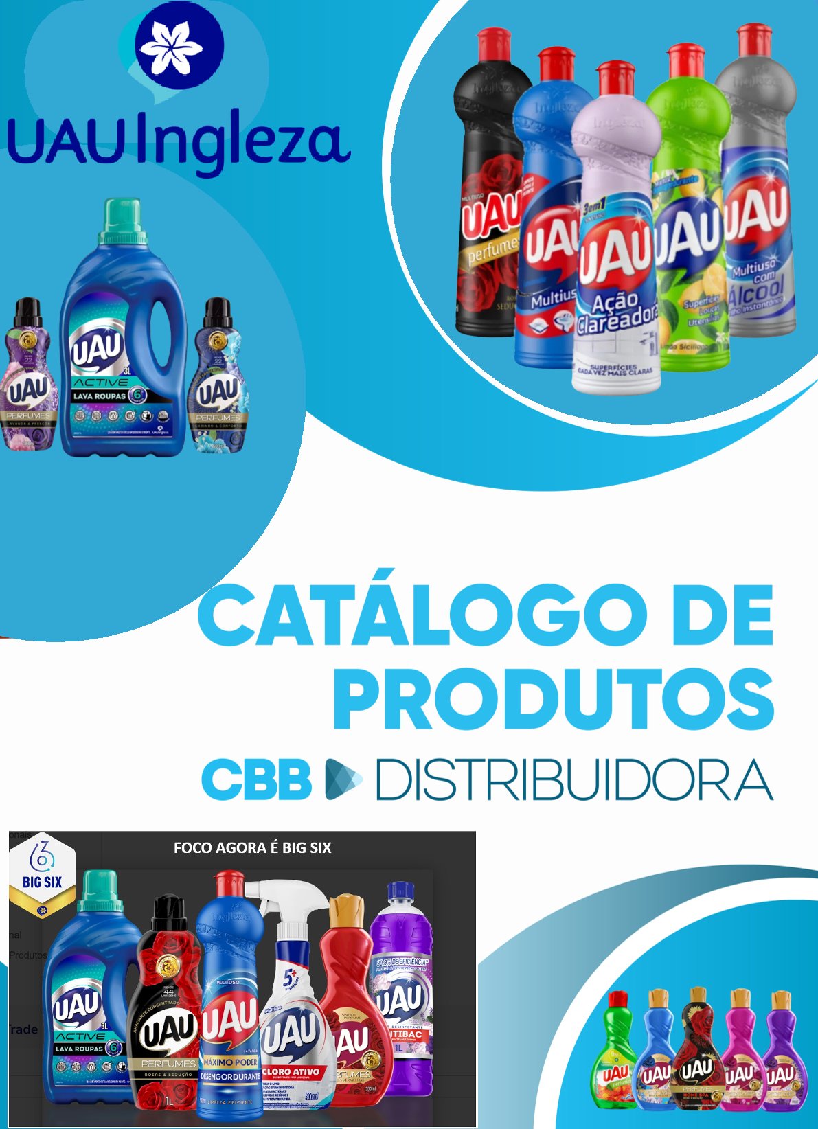 Capa da Revista 22